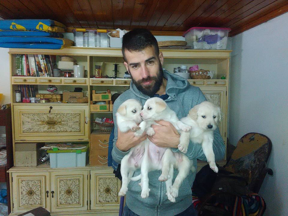 Sérgio com três cachorros ao colo